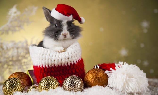 С Новым годом!
